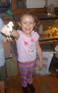 Vivian holds baby chick at Memes Chicken and Quail Farm