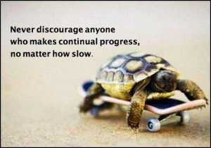 slow steady race turtle