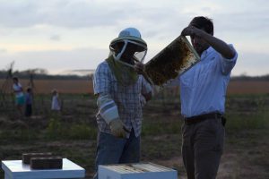 Tommy Van Horn with bees