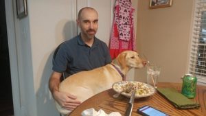 Our female dog sits in my husband's lap at dinner